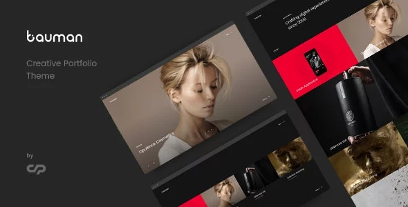 Download Bauman - Creative Portfolio Theme latest version.webp