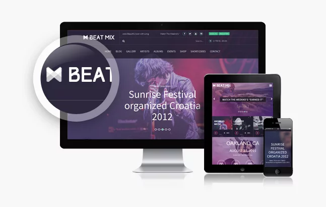 Download Beatmix music and band wordpress theme.webp