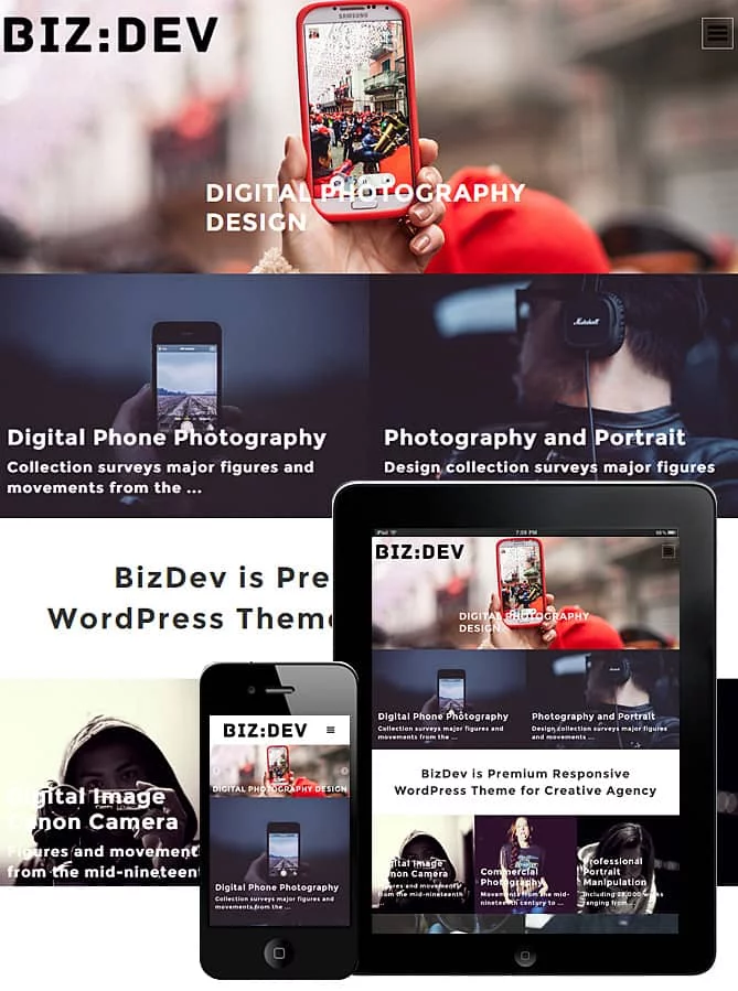 download-biz-dev-theme-responsive.webp