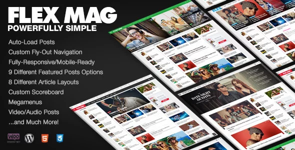 Download Flex Mag - Responsive WordPress News Theme.webp