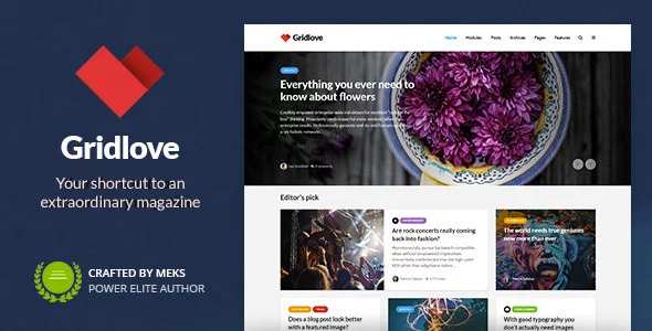 Download Gridlove - Creative Grid Style News & Magazine WordPress Theme latest version.webp