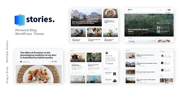 Download Stories - Personal Blog WordPress Theme + Themeforest 45898975.jpg