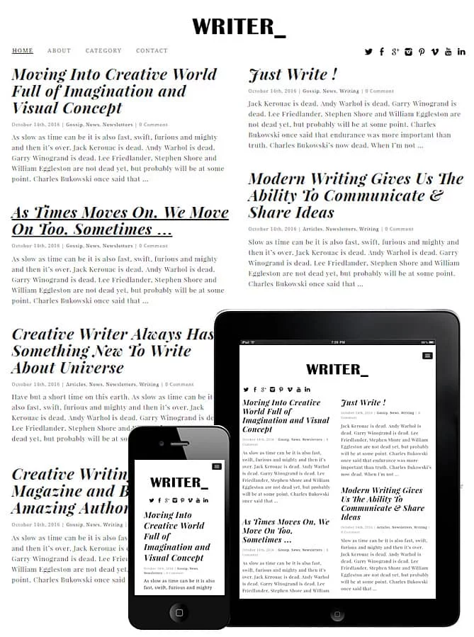 downloadn-writer-wordpress-theme.webp