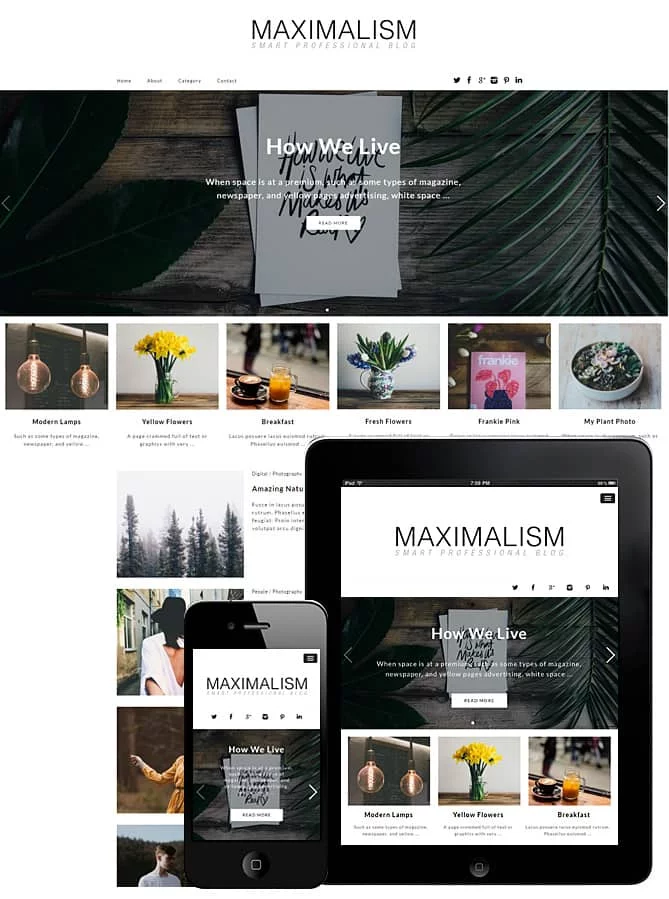 maximalism-blog-theme-wordpress2.webp