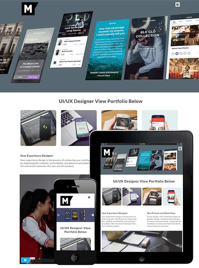 mockup-theme-responsive.webp