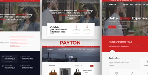 Payton - Business Creative WordPress Multipurpose Theme.jpg