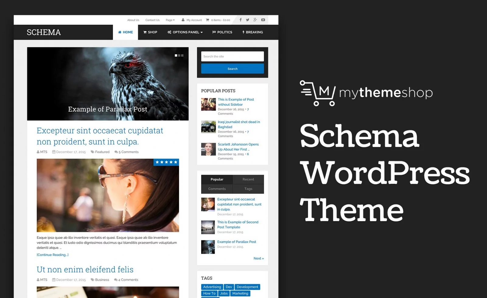 Schema by mythemeshop.webp