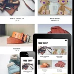 Free Shop WordPress Woocommerce Theme