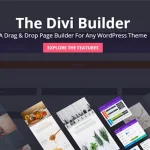 Divi Builder