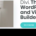 Divi Theme