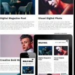 Bold Mag WordPress Theme