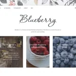 Blueberry - A Responsive WordPress Blog Theme