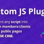 Custom JS plugin for RISE CRM