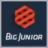 Big Junior - Multi-Purpose Responsive Theme